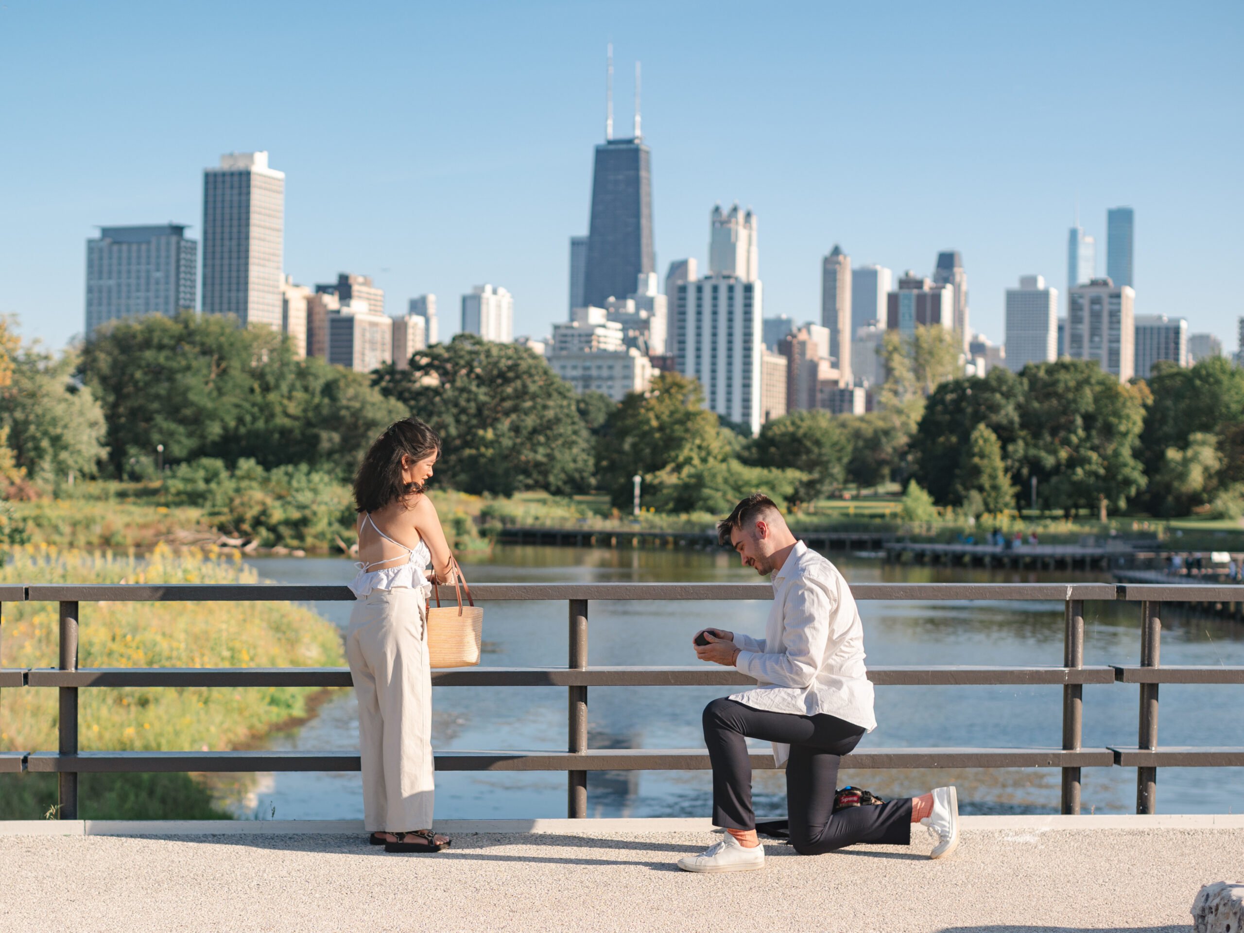 Surprise proposal on the Lincoln Park Boardwalk